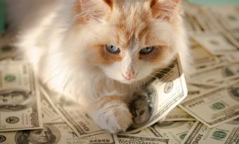 반려동물 보유세, 도입해야 할까요? 썸네일