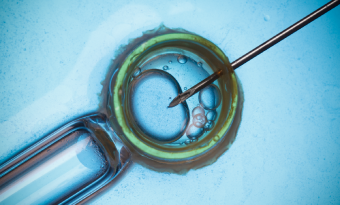 맞춤아기, 논란의 중심 썸네일