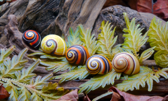 생물다양성, 인간 중심적 관점을 버려야 한다 썸네일