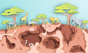 생물을 분류하는 과학적 기준은 무엇일까 썸네일