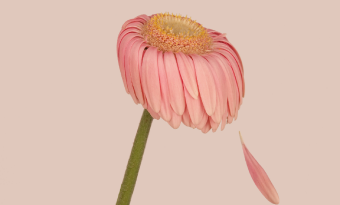 《어떻게 지내요》
안부를 묻기 힘든, 요즘에 썸네일