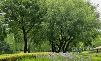 도시공원 일몰제 시행, 도시의 허파 없어지나 썸네일