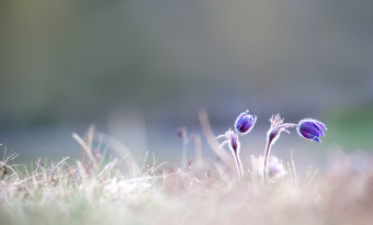 소심한 조바심 썸네일