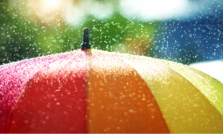 비오는 날 소중한 우산, 언제부터 썼을까? 썸네일