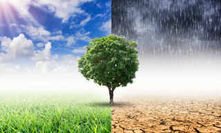 기후변화에 대한 작은 상식 썸네일