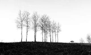 《수레바퀴 아래서》, 
우리는 수레바퀴에 깔린 달팽이가 아니다 썸네일